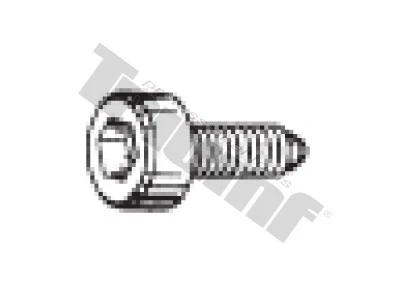 Skrutka M 6 x 17 mm valcová, 6 - hran