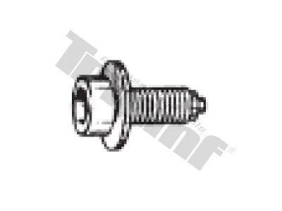 Skrutka M 6 x 13,0 mm s podložkou