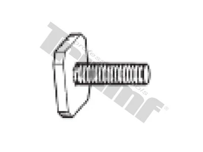 Skrutka M 6 x 22 mm, 4 - hranná hlava