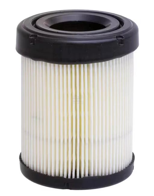 BRIGGS AND STRATTON Vzduchový filter 591583