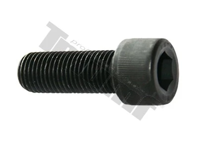 Skrutka M22 x 60