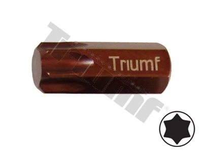 Bit Torx nevŕtaný, 10 mm driek, dĺžka 30 mm T55