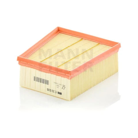 Vzduchový filter MANN FILTER C 22 026